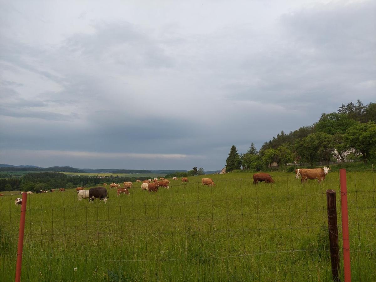 Prázdninový dům Panorama House Brdy *