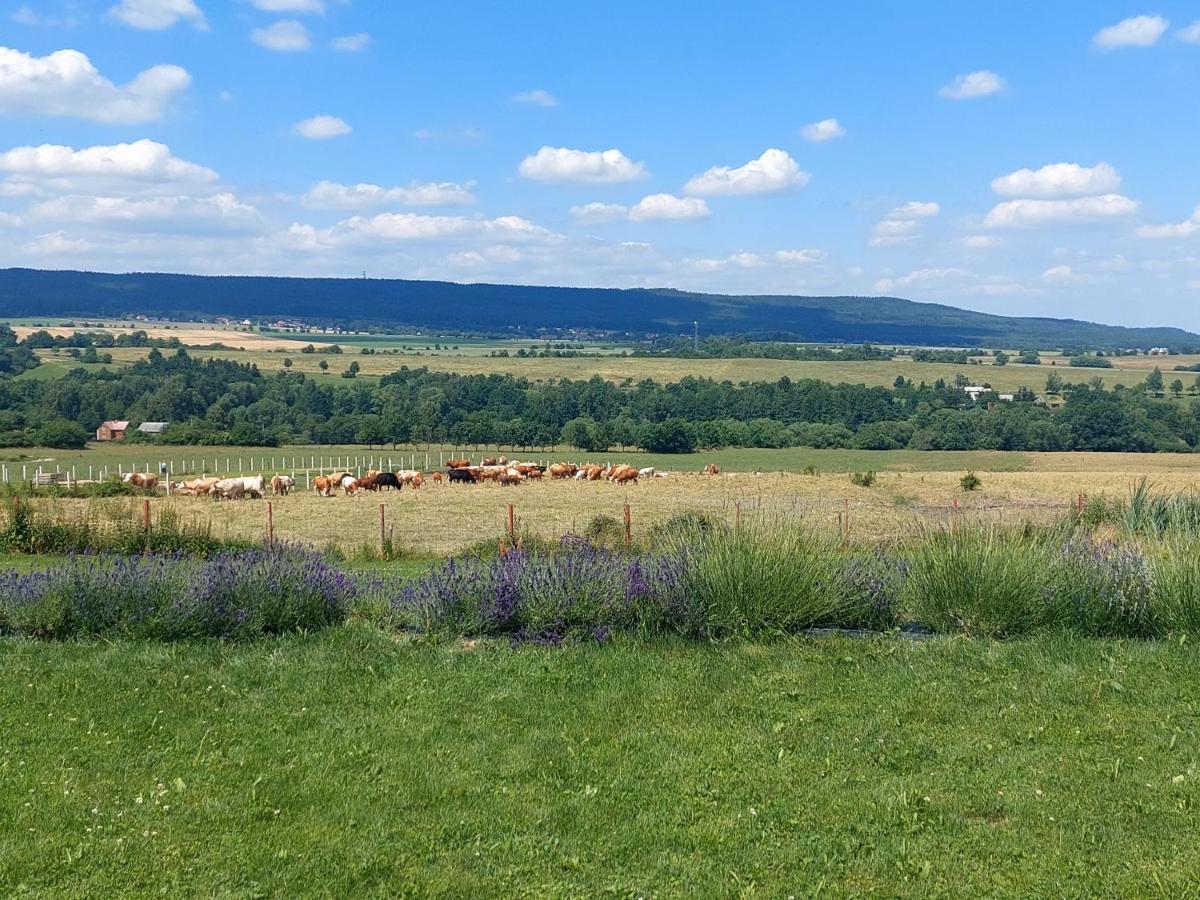 Prázdninový dům Panorama House Brdy
